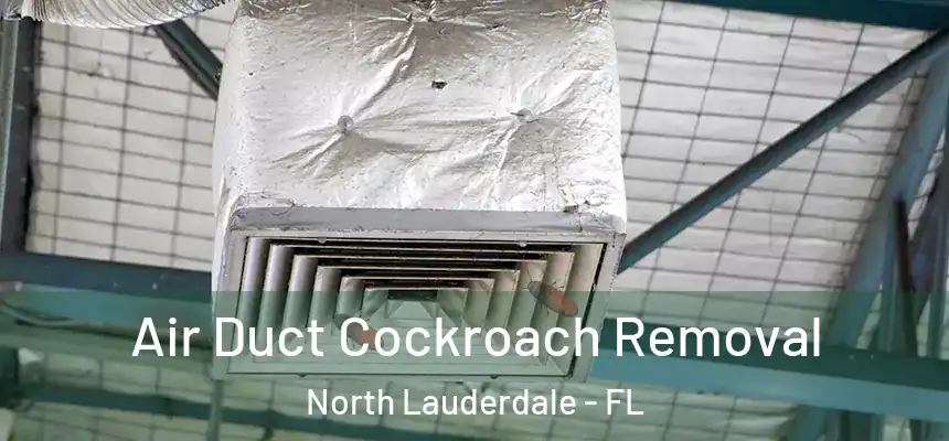 Air Duct Cockroach Removal North Lauderdale - FL