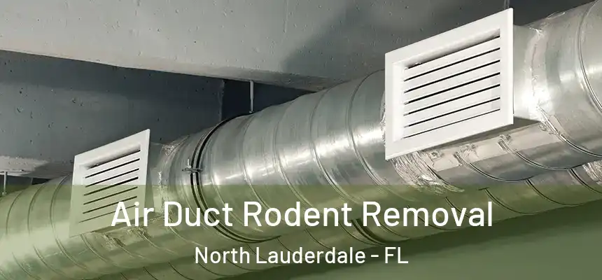 Air Duct Rodent Removal North Lauderdale - FL