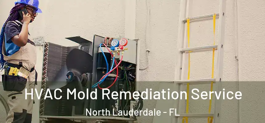 HVAC Mold Remediation Service North Lauderdale - FL
