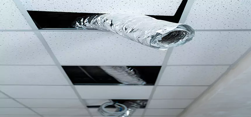 Affordable HVAC Sanitizing After Pest Removal in North Lauderdale