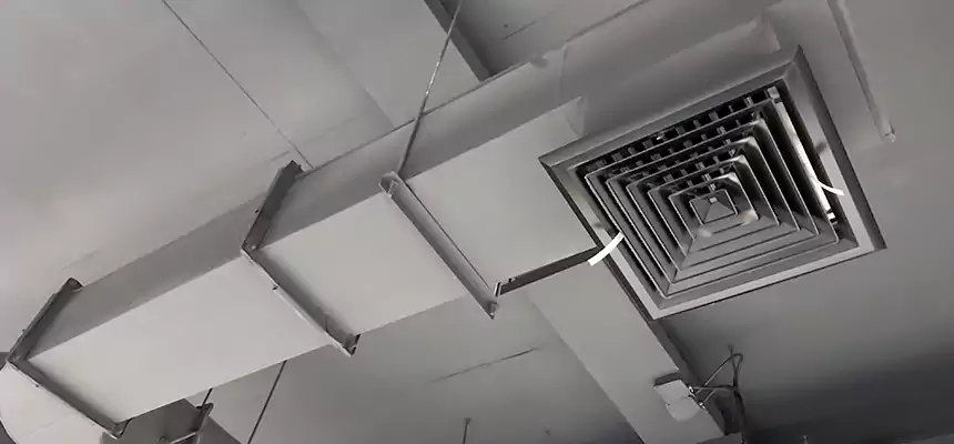 Our Pest Removal From Ducts Services in North Lauderdale, FL