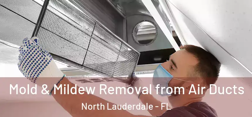Mold & Mildew Removal from Air Ducts North Lauderdale - FL