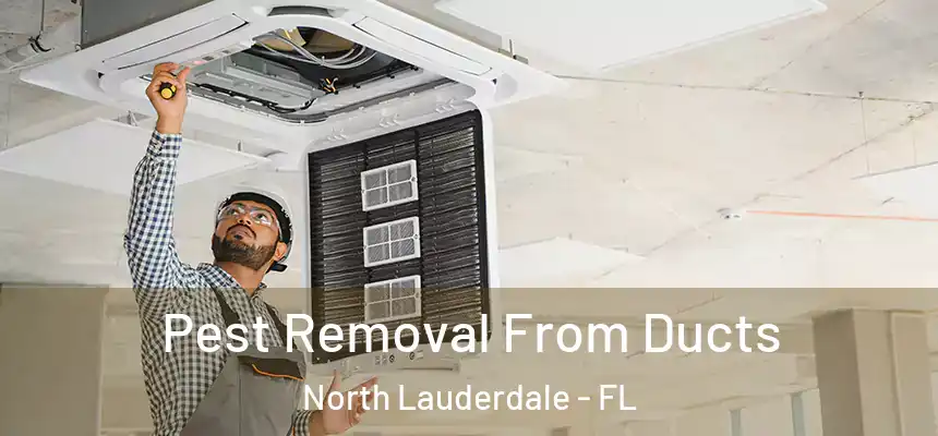 Pest Removal From Ducts North Lauderdale - FL