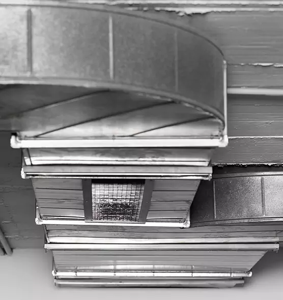 Professional Air Duct Pest Removal in North Lauderdale, FL