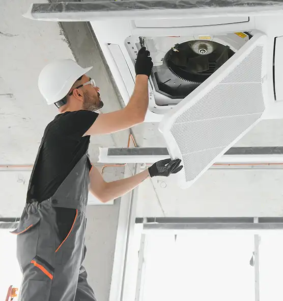 About Air Duct Rodent Removal in North Lauderdale, FL