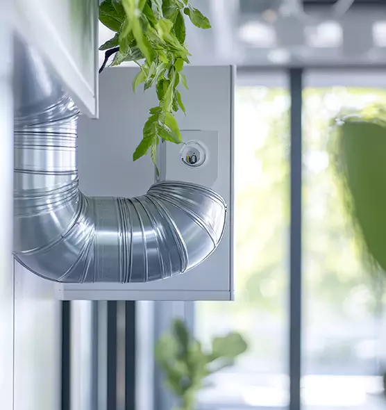 Professional Eco-Friendly Duct Cleaning Services in North Lauderdale, FL