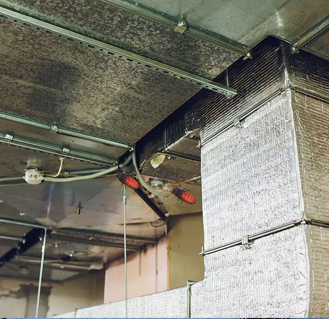 Why Homeowners & Businesses Trust Us in North Lauderdale, FL?