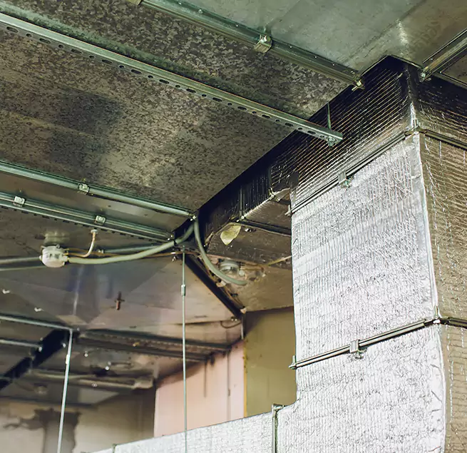 Why Homeowners & Businesses Trust Us in North Lauderdale, FL?